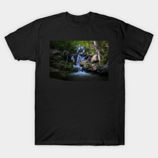 Dark Hollow Falls T-Shirt